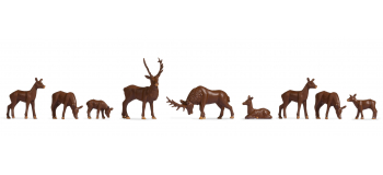 NO 38211 - Cerfs - Noch