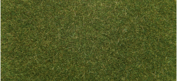 NO 08364 - Flocage Herbes vert moyen 4 mm, 20 g - Noch