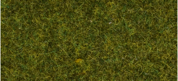 NO 08361 - Flocage Herbes des Prés 4 mm, 20 g - Noch