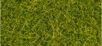 NO 08363 - Flocage Herbes vert clair 4 mm, 20 g - Noch