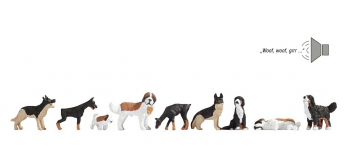 NO 12852 - Chiens - Noch