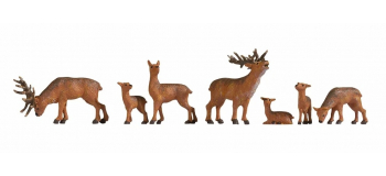 NO 15732 - Cerfs - Noch