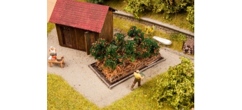 Modélisme ferroviaire : NOCH NO13215 - Plants de tomates