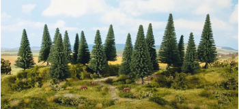 NO 24642 - Sapins, 6 pièces 14 -18 cm - Noch