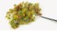 NO 06805 - Fleurs, 250 pièces, vert-jaune, bleu-blanc, bruyère, blé - Noch
