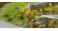 NO 06805 - Fleurs, 250 pièces, vert-jaune, bleu-blanc, bruyère, blé - Noch