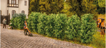 NO 21547 - Haie de thuyas 3 cm, 12 pcs - Noch