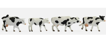 NO 17900 - Vaches noires-blanches - Noch