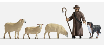 NO 17901 - Moutons et berger - Noch
