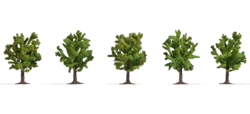 NO 25610 - Arbres fruitiers 8 cm, 5 pcs - Noch