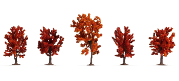 NO 25625 - Arbres d'automne 8-10 cm, 5 pcs - Noch