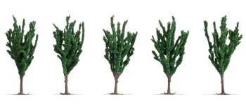 NO 25635 - Peupliers 12 cm, 5 pcs - Noch