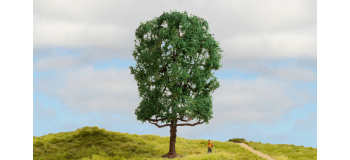 NO 20105 - Châtaignier, 19 cm - Noch