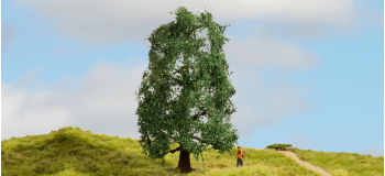 NO 20110 - Chêne, 15 cm - Noch