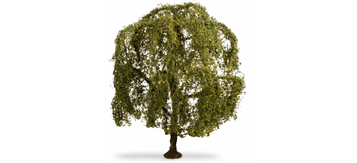 NO 20115 - Saule Pleureur, 15 cm - Noch