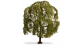 NO 20115 - Saule Pleureur, 15 cm - Noch