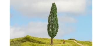 NO 20130 - Peuplier, 18 cm - Noch