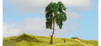 NO 20140 - Pin, 15 cm - Noch