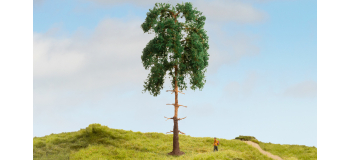 NO 20141 - Pin, 18 cm - Noch