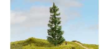 NO 20190 - Epicéa, 19 cm - Noch