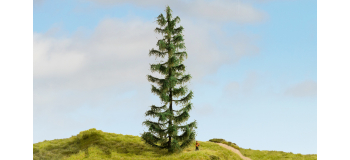 NO 20192 - Epicéa, 25 cm - Noch