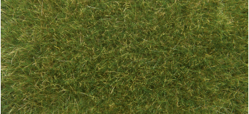 NO 07118 - Flocage Herbes sauvages, vert moyen, 9 mm, 50 g - Noch