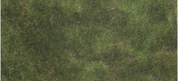 NO 07251 - Toison couverture végétale vert olive, 12 x 18 cm - Noch
