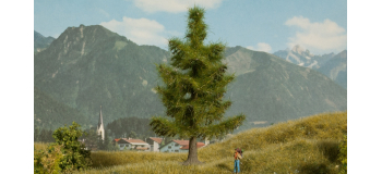 NO 21815 - Epicéa - Noch