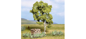 NO 21640 - Bouleau 11,5 cm - Noch