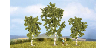 NO 25120 - Bouleaux 8 et 10 cm, 3 pcs - Noch