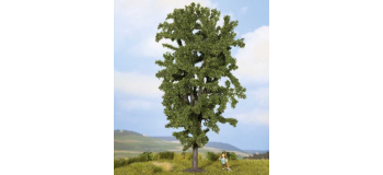 NO 25895 - Marronier d'Inde 19 cm - Noch