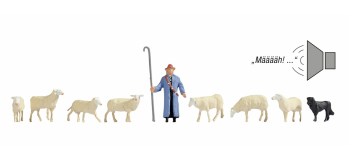 NO 12854 - Troupeau de moutons - Noch