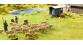 NO 12854 - Troupeau de moutons - Noch