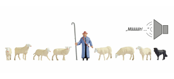 NO 12961 - Troupeau de moutons - Noch