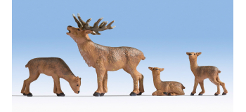 NO 17902 - Cerfs - Noch