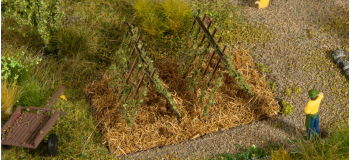 NO 13225 - Treillage d’haricot - Noch