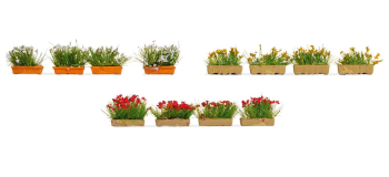 NO 14009 - Jardinières fleuries, rouges, blanches et jaunes, HO - Noch