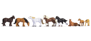 NO 36762 - Chevaux à sang froid - Noch