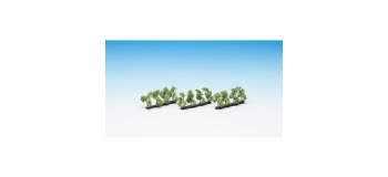 Modélisme ferroviaire : NOCH NO21530 - Plantation d'arbres, 12 pièces, 3,5 cm de haut  
