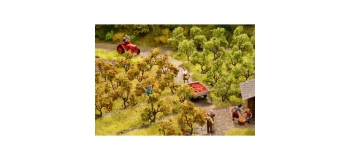 Modélisme ferroviaire : NOCH NO21532 - Plantations de pommiers, 12 pièces 