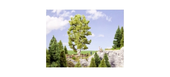 Modélisme ferroviaire : NOCH NO 21641 - Bouleau à double tronc, 19 cm