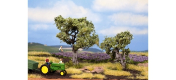 Train électrique : NOCH NO 21995 - Oliviers 2 pièces, 6 et 9 cm 