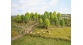 Modélisme ferroviaire : NOCH NO 26801 -25 arbres feuillus