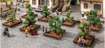 NO 21546 - Arbustes d’ornement 4 - 5 cm, 12 pcs - Noch