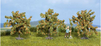 NO 25114 - Orangers 4 cm, 3 pcs - Noch