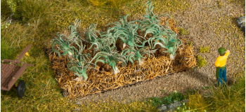 NO 13222 - Poireau - Noch