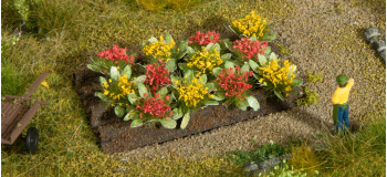 NO 13223 - Massif de roses - Noch