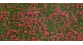 NO 07257 - Toison couverture végétale, Pré rouge, 12 x 18 cm - Noch
