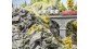 Modélisme ferroviaire : NOCH NO 58462 - Plaque rocheuse Basalte