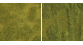Tapis Mini Natur+ Prairie grasse, 25 x 25 cm - Noch modélisme ferroviaire decor miniature